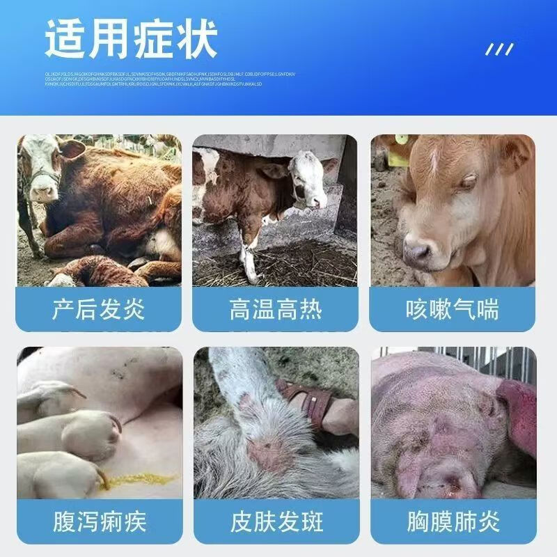 兽药头孢噻呋钠冻干粉针剂在猪牛羊养殖中的应用与效能分析