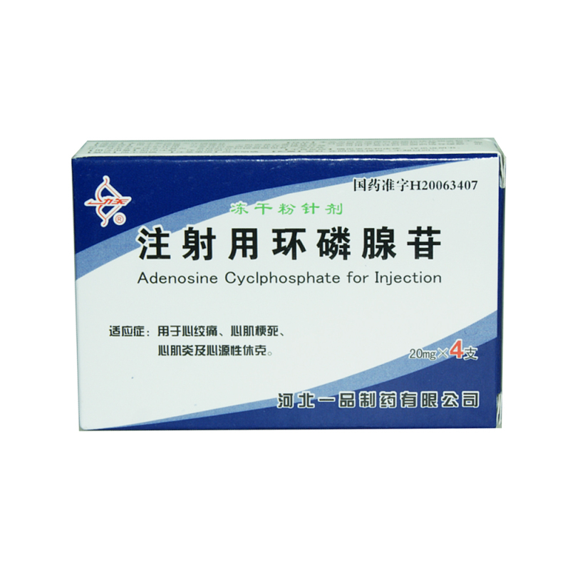 冻干的力量 注射用环磷腺苷的前沿医学与应用解析